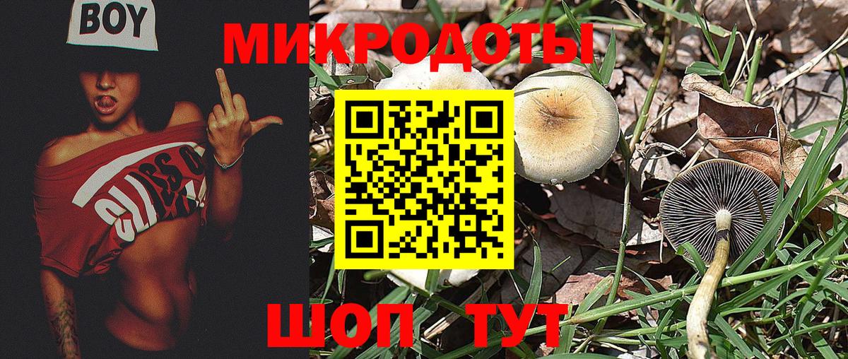 Псилоцибиновые грибы MAGIC MUSHROOMS  Вход с VPN  где можно купить   Кашира 